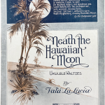 Neath the Hawaiian Moon