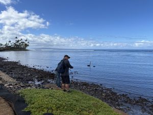Man and woman stand at Lahaina shoreline studying it to determine official parcel boundaries.